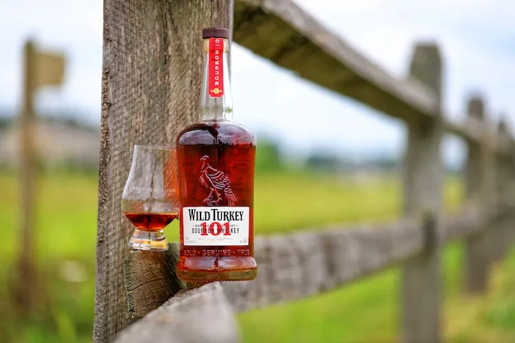 Wild Turkey 101 review